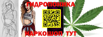 индика Бузулук