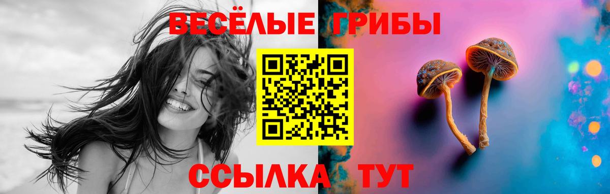Галлюциногенные грибы прущие грибы  Вход с VPN  Заречный  Галлюциногенные грибы Psilocybine cubensis 